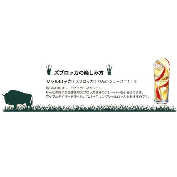 �ڥ���åȥ��饹�ա� ���֥��å� �Х����󥰥饹 �����å� 37.5�� 700ml