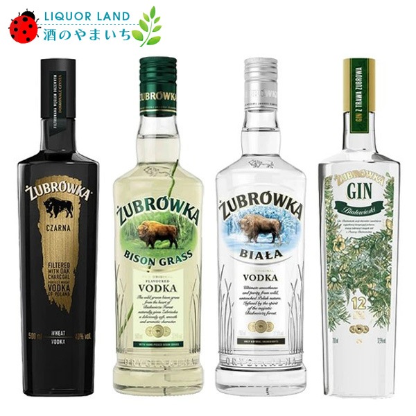 ������̵���ۥ��֥��å� �������4�ܥ��åȡʥ����� �Х����󥰥饹 ���ꥢ ����ˡڥ���åȥ��饹�ա�