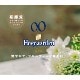 ��ۥ磻�ȥӡ���ΥΥ󥢥륳���롪�䡡�ҥ塼����ǥ󡡥�����0.0��330ml���̡��Υ󥢥륳���롡�ۥ磻�ȥӡ���ƥ�����