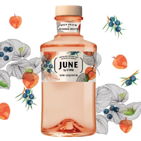 �����������󡡥��塼���JUNE�ˡ����󡡥ꥭ�塼�롡37.5��700ml