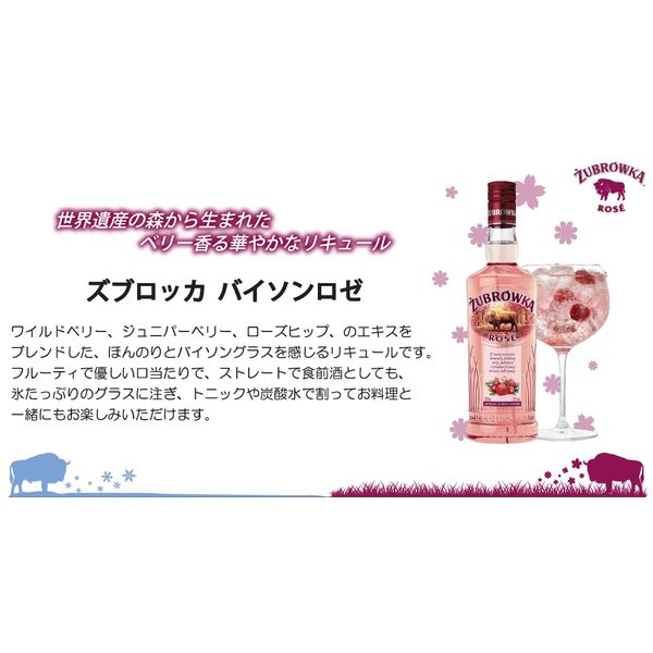 �ڥ���åȥ��饹�ա�  ��������١��� ���֥��å� �Х����� ���� �����å� 32�� 500ml