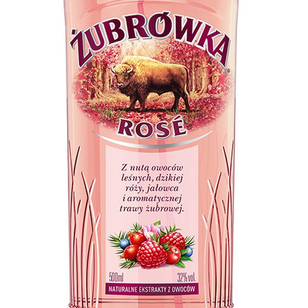 �ڥ���åȥ��饹�ա�  ��������١��� ���֥��å� �Х����� ���� �����å� 32�� 500ml