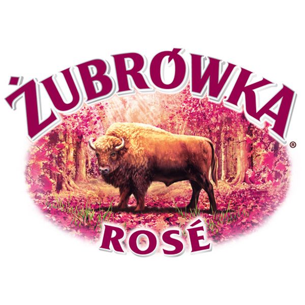 �ڥ���åȥ��饹�ա�  ��������١��� ���֥��å� �Х����� ���� �����å� 32�� 500ml
