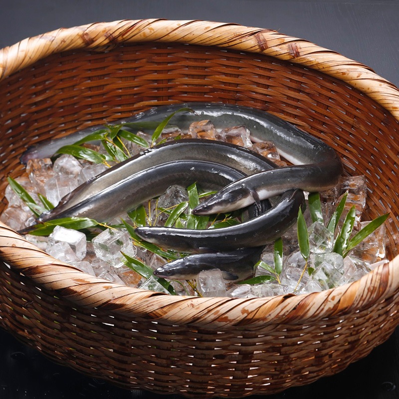 特大うなぎ蒲焼(290g)【ご自宅用】 | すべての商品 | うなぎ処山美世