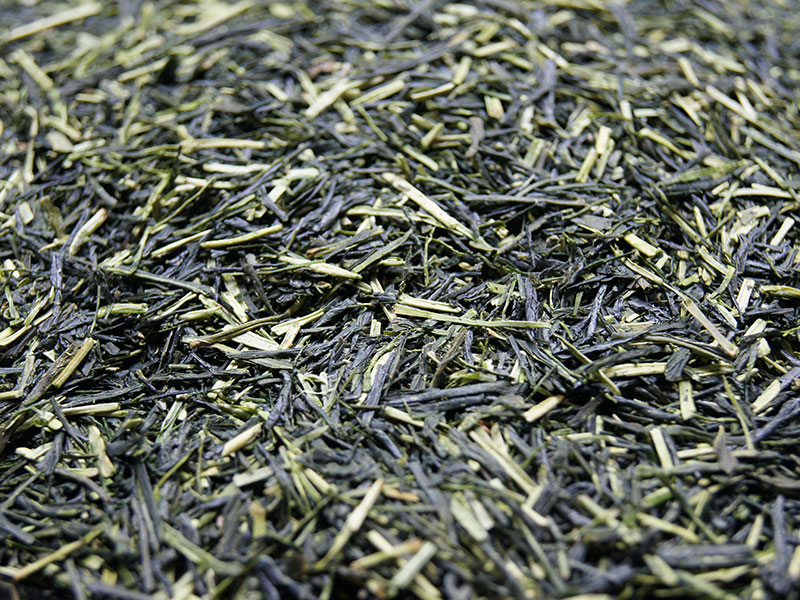朝宮茶詰合せ（煎茶・かりがね） | ギフトセット | あさみや銘茶 山本園