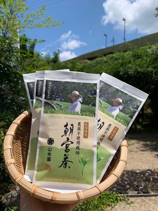EM,ガイアの水135,エリジアム使用【農薬・化学肥料不使用栽培】「朝宮