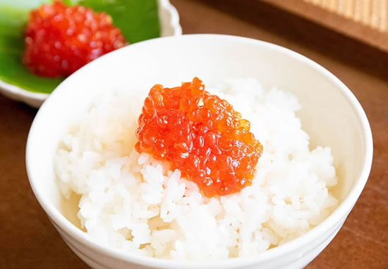 北国珍味セット【G塩すじこ/特/切込】