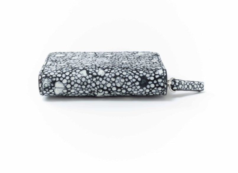 スタースティングレイ コインパース