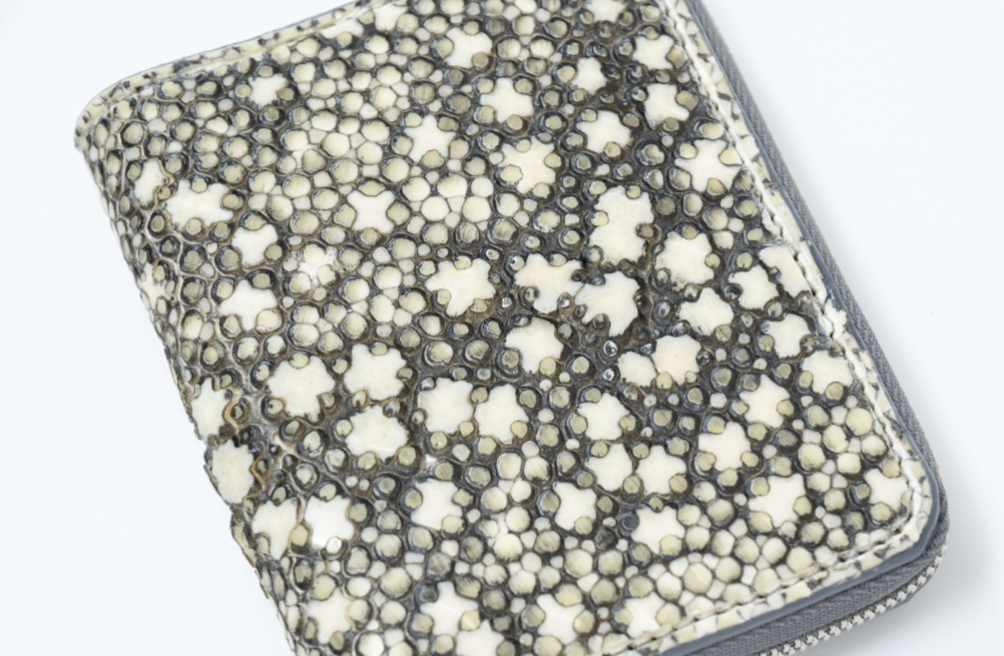 スタースティングレイ コインパース