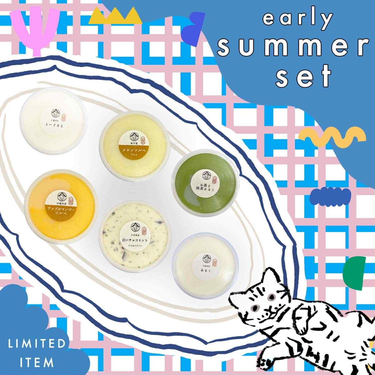 初夏のセレクト ６個セット