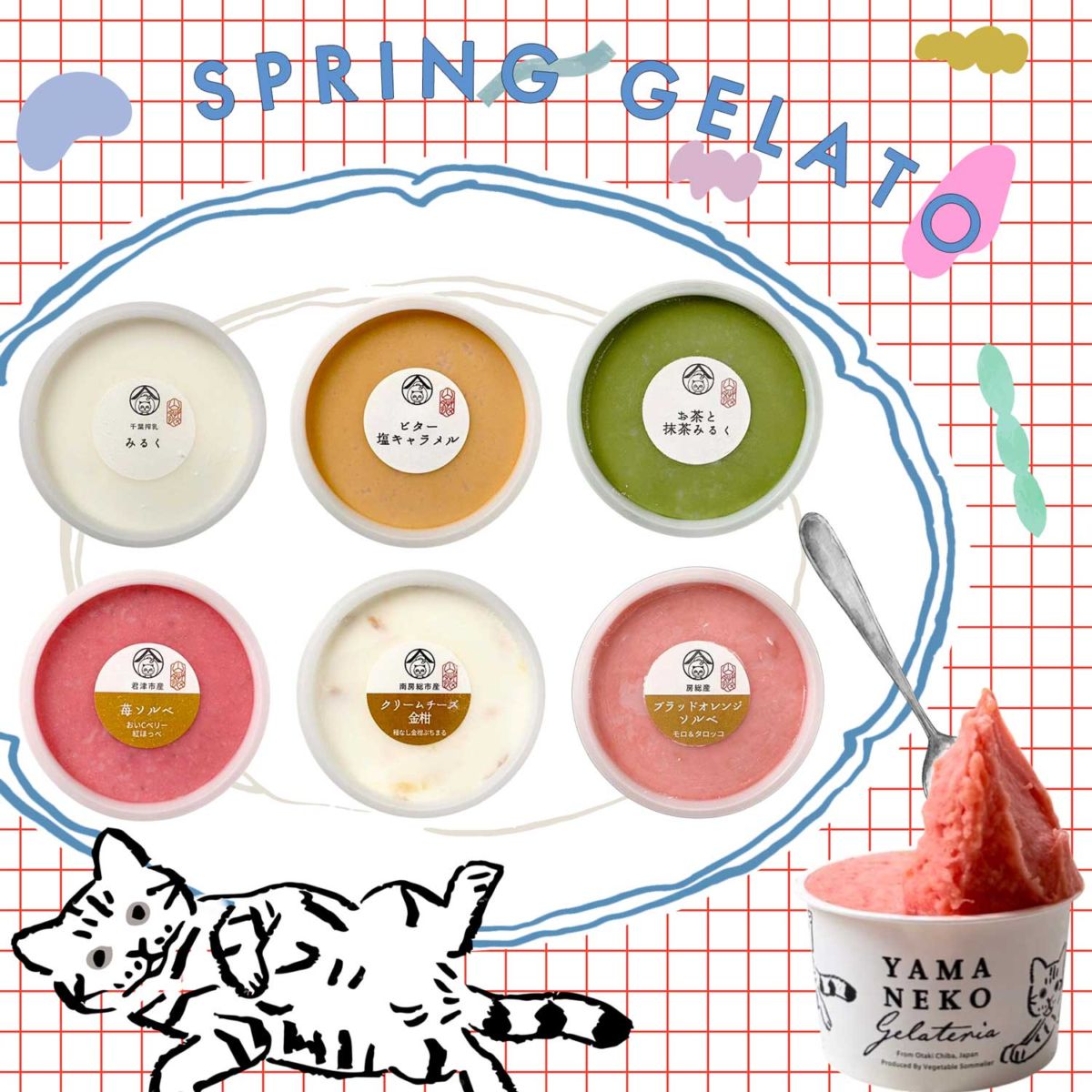 春のセレクト６個セット