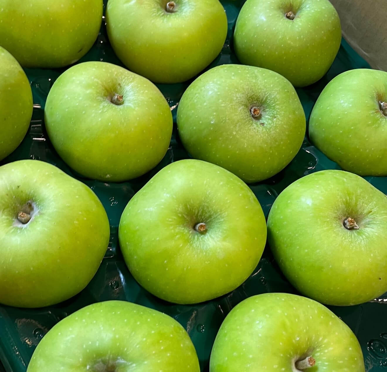 2025秋深まるジェラート6個セット