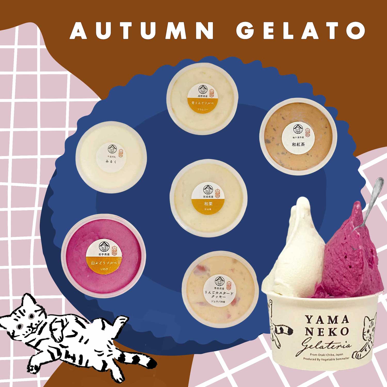 2025秋深まるジェラート6個セット