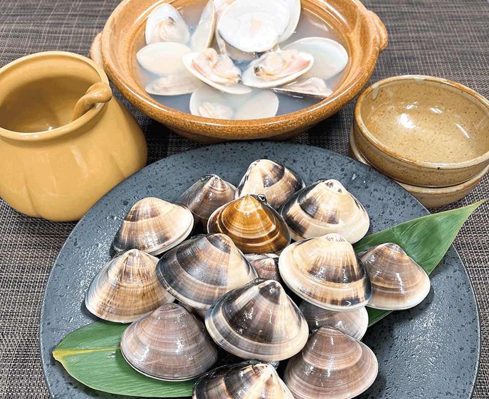 はまぐり鍋・しゃぶしゃぶ 通販｜九十九里産 はまぐり（昆布だし付き