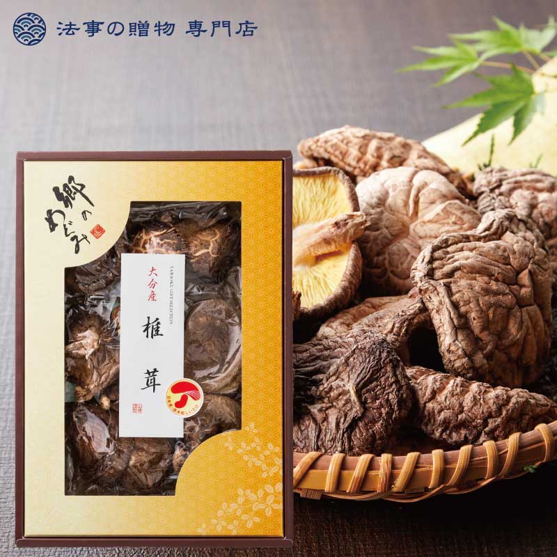 大分産香信椎茸