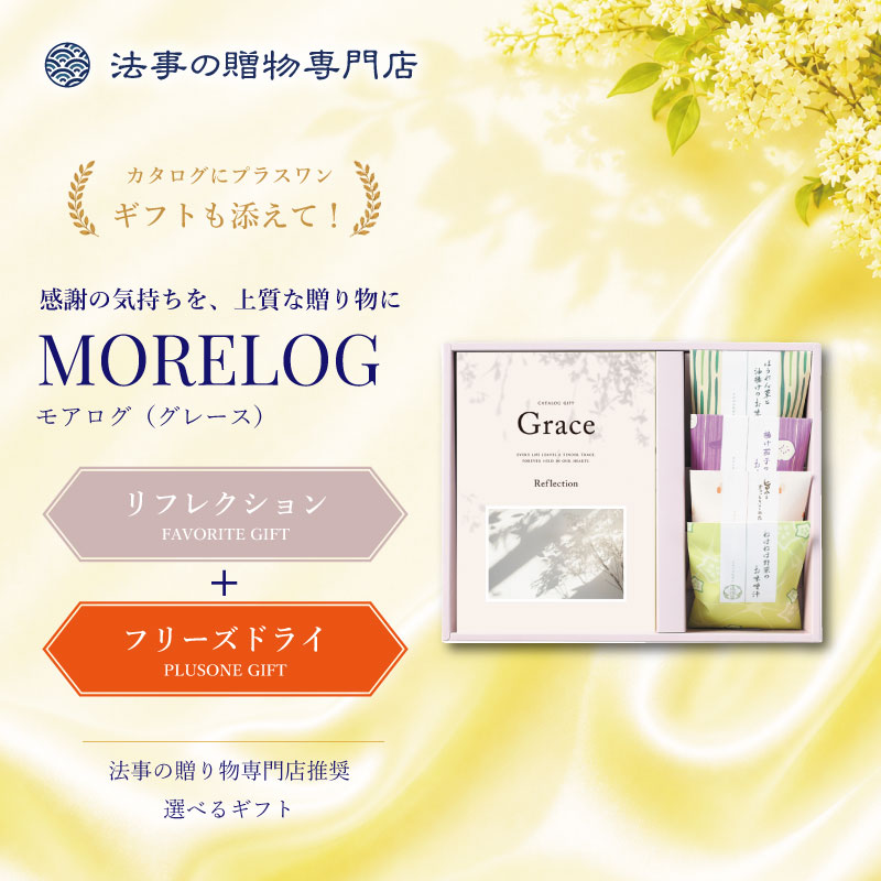 モアログ　グレイス　リフレクション＋フリーズドライお味噌汁セット