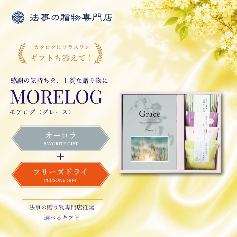 モアログ　グレイス　オーロラ＋フリーズドライお味噌汁セット