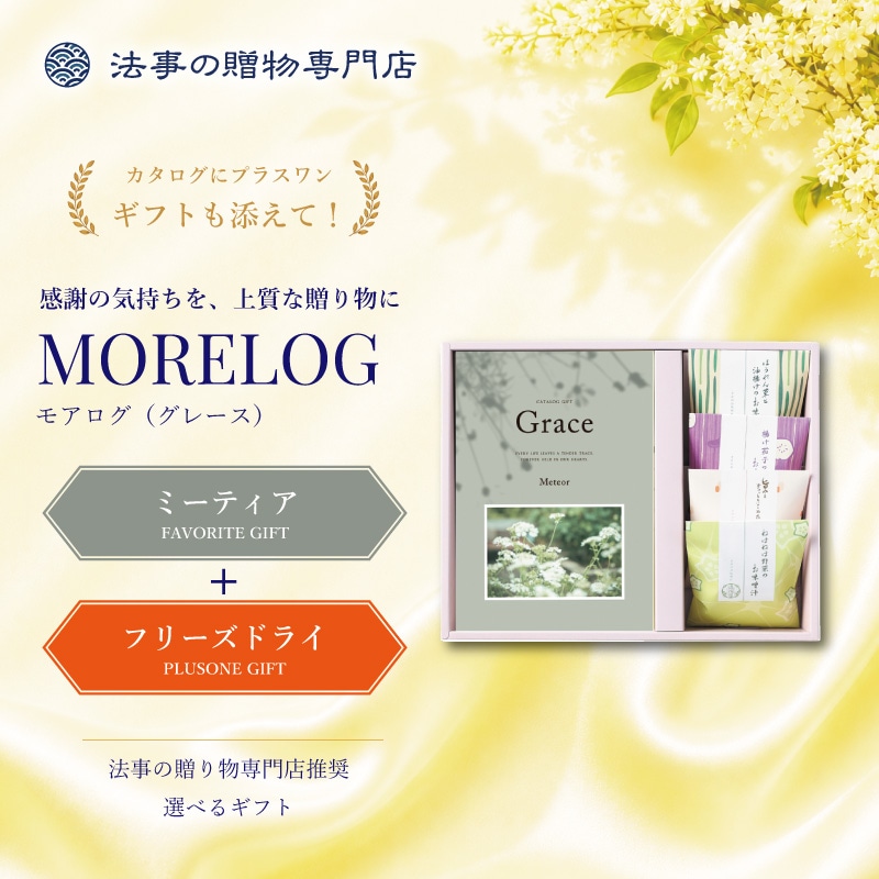 モアログ　グレイス　ミーティア＋フリーズドライお味噌汁セット