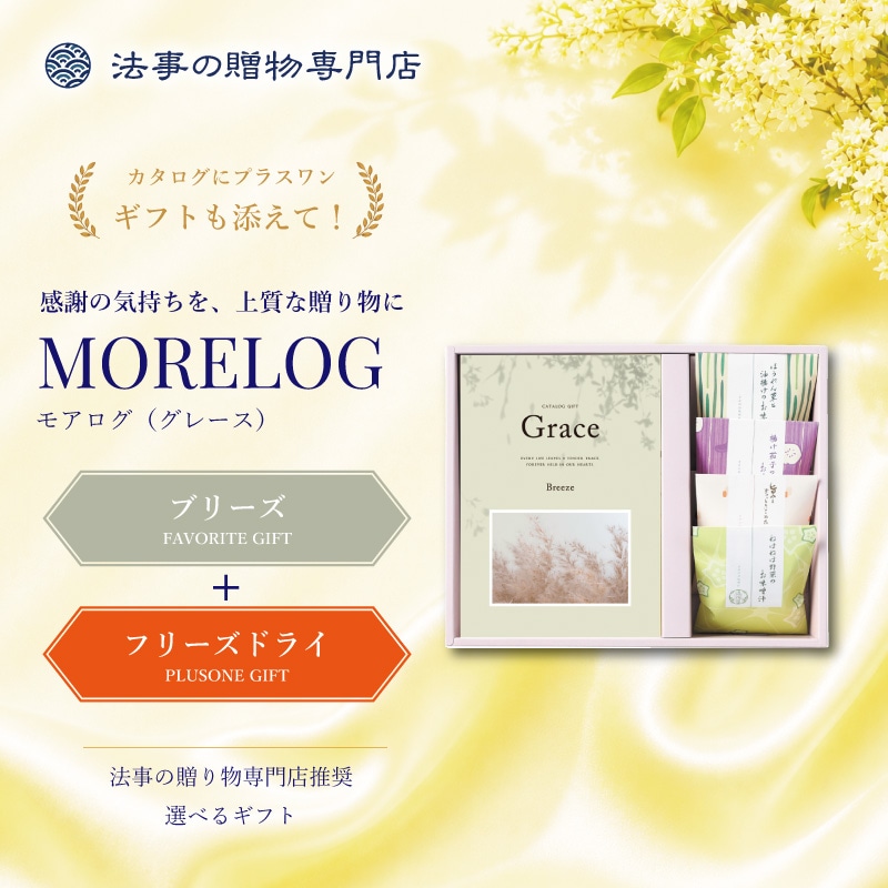 モアログ　グレイス　ブリーズ＋フリーズドライお味噌汁セット
