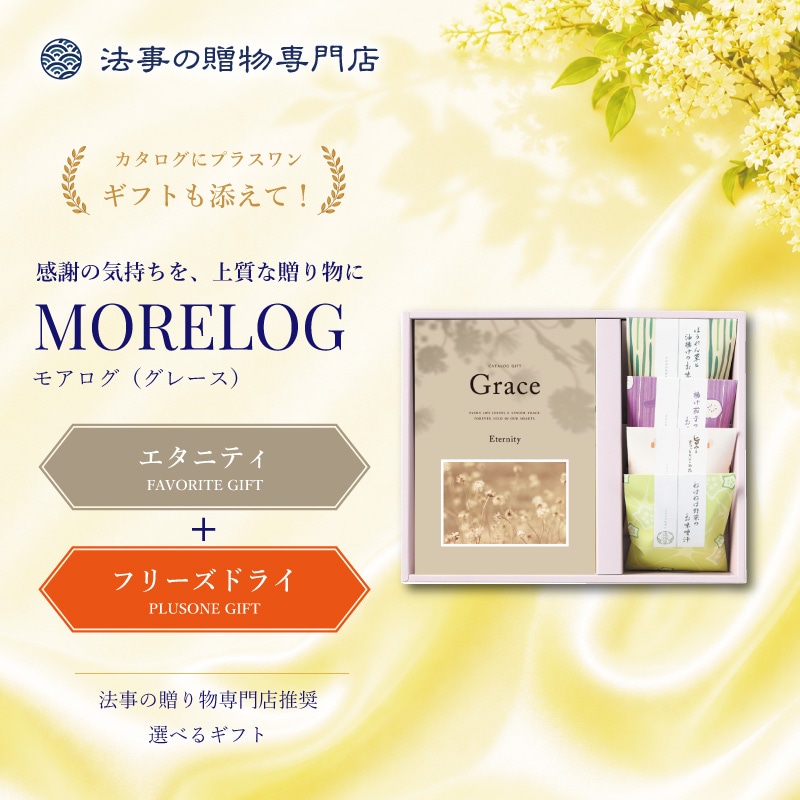 モアログ　グレイス　エタニティ＋フリーズドライお味噌汁セット