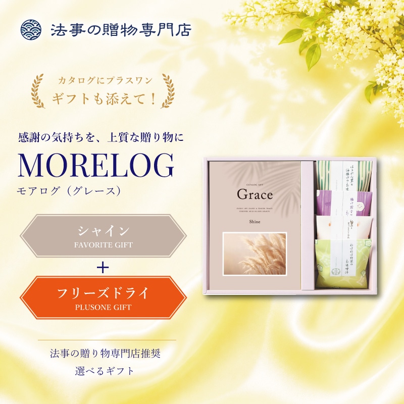 モアログ　グレイス　シャイン＋フリーズドライお味噌汁セット
