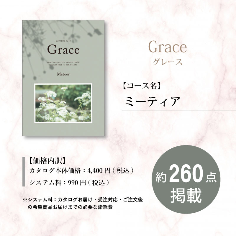 【包装レスタイプ】えらべるギフト　グレース　ミーティア