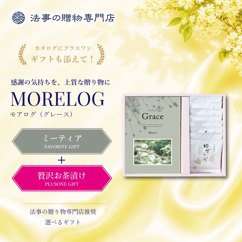 モアログ　グレイス　ミーティア＋贅沢お茶漬けセット