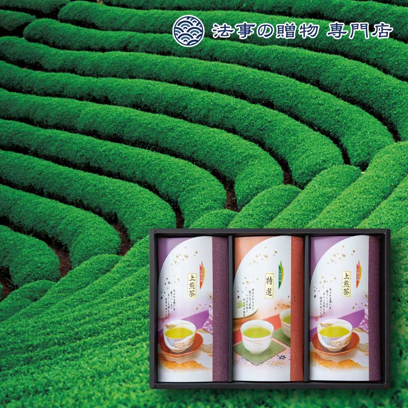 【法事の贈物専門店 オリジナル】銘茶詰合せ（嬉野茶）