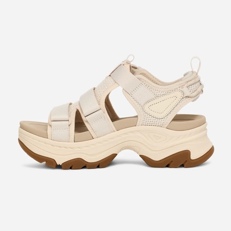 TEVA C/O テバ レディース ハリケーン アンプソール ガイラ W HURRICANE AMPSOLE GAILA BIRCH 1164570-BIR
