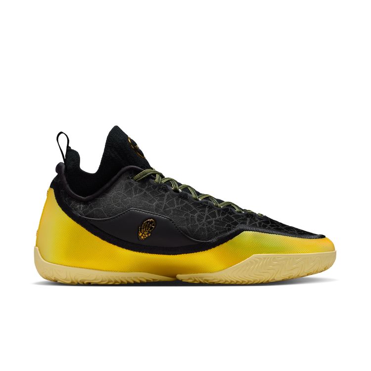 NIKE SU26 4/17 NIKE LEBRON 23 ELITE EP ブラック/ソフトイエローースタジアムグリーン IB9558-002
