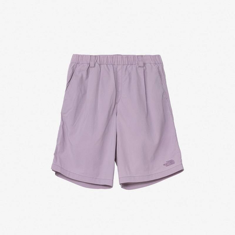THE NORTH FACE S26 GAR FADED BAGGY SHORT シーフォグ NB42665-SF