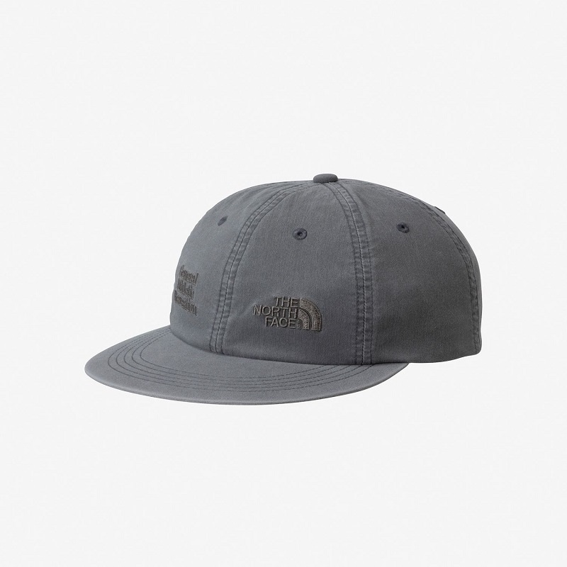 THE NORTH FACE S26 GAR 6 PANEL CAP パシェグレー NN02672-PY