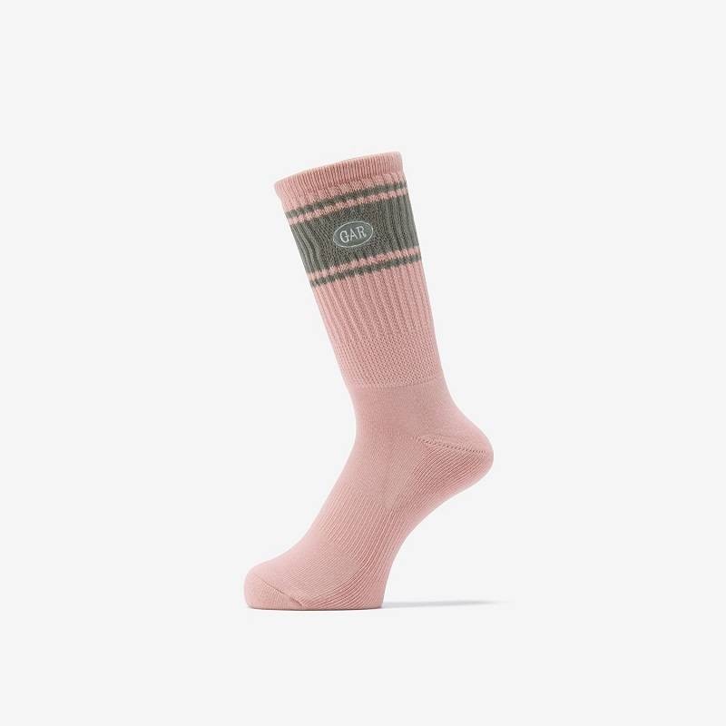 THE NORTH FACE S26 GAR TUBE CREW パシェグレー NN82619-PG