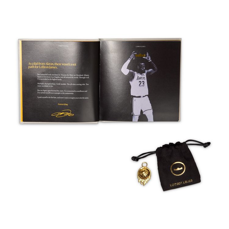 NIKE SP26 1/30 NIKE LEBRON 23 EP ミッドナイトネイビー/メタリックゴールド IH1514-400