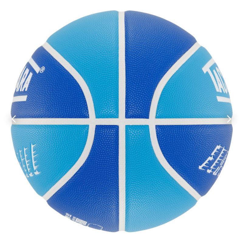 【タチカラ/7号球/フラッシュボール/バスケットボール/アウトドア用】TACHIKARA BASKETBLL FA25 FLASHBALL SB7-2042 ネオンブルー/ブルー