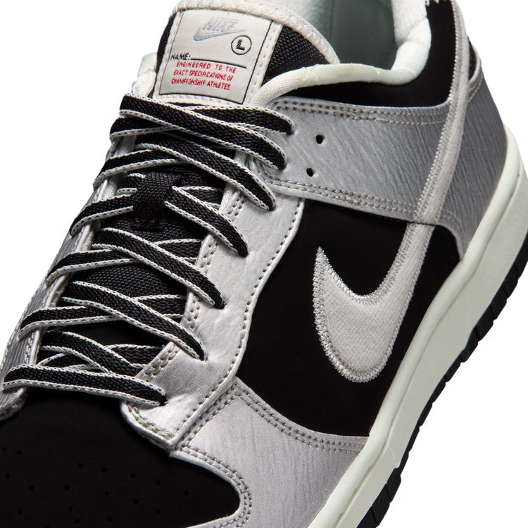 NIKE FA26 NIKE DUNK LOW RETRO メタリックシルバー/メタリックシルバー-ブラック IM4413-001