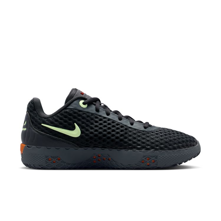 NIKE HO26 10/1 NIKE LEBRON WITNESS X HW EP ダークスモークグレー/マルチカラー IX5287-001