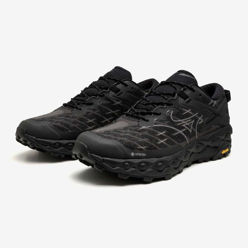 MIZUNO C/O WAVE MUJIN LS GTX 02:ブラック D1GA250102