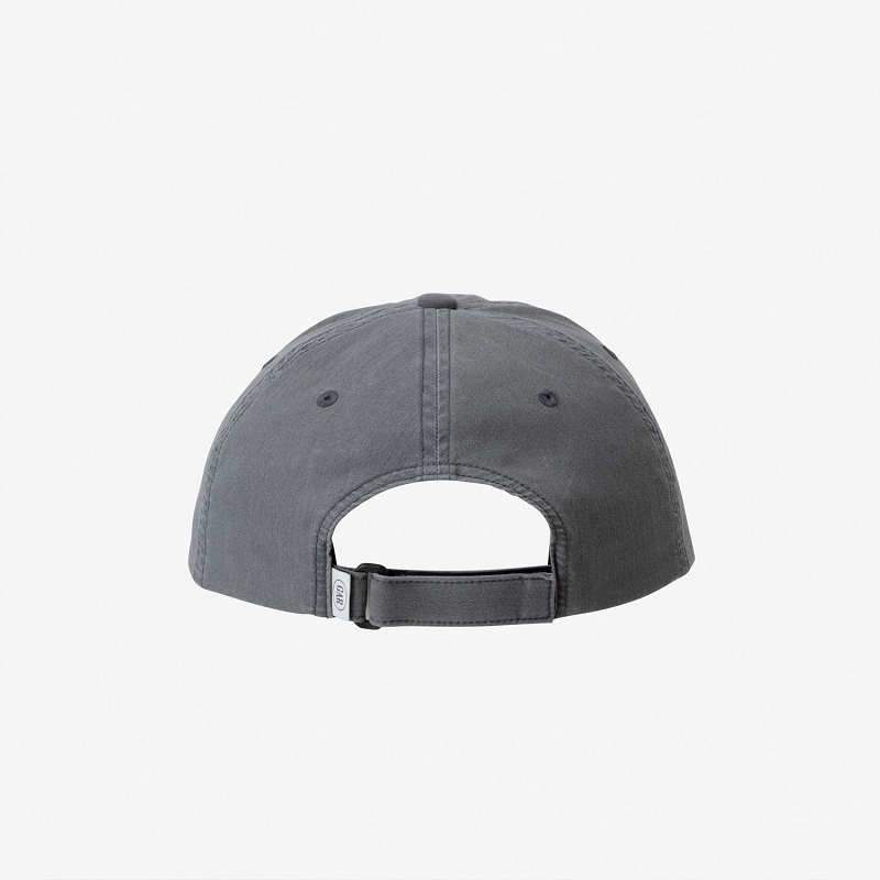 THE NORTH FACE S26 GAR 6 PANEL CAP パシェグレー NN02672-PY