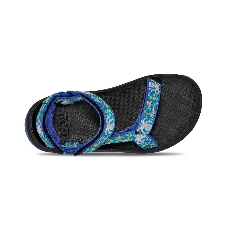 TEVA S26 3/2 K HURRICANE XLT JR OCEAN CREATURES DAZZLING BLUE 1177430C-ODZ