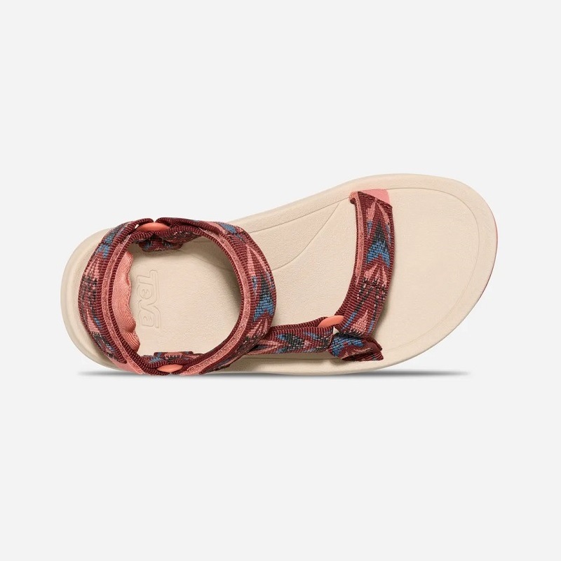 TEVA 25SS K HURRICANE XLT 2 ARCHIVE WINGS BLOOMING DAHLIA 1019390C-AVW