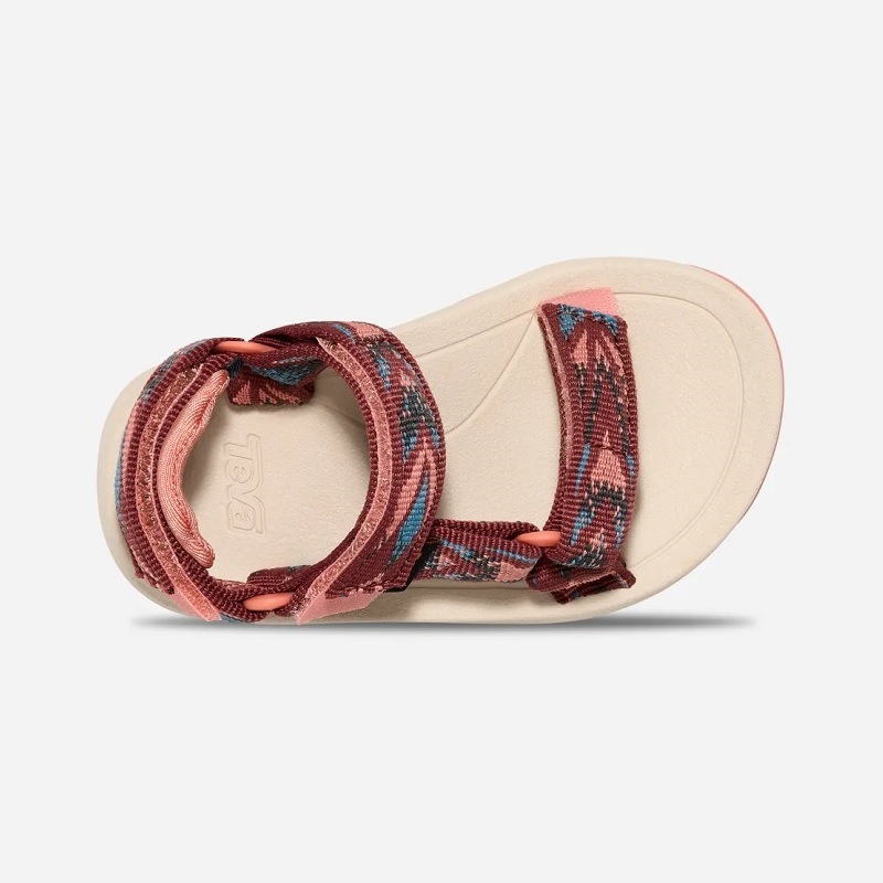 TEVA 25SS K HURRICANE XLT 2 ARCHIVE WINGS BLOOMING DAHLIA 1019390T-AVW