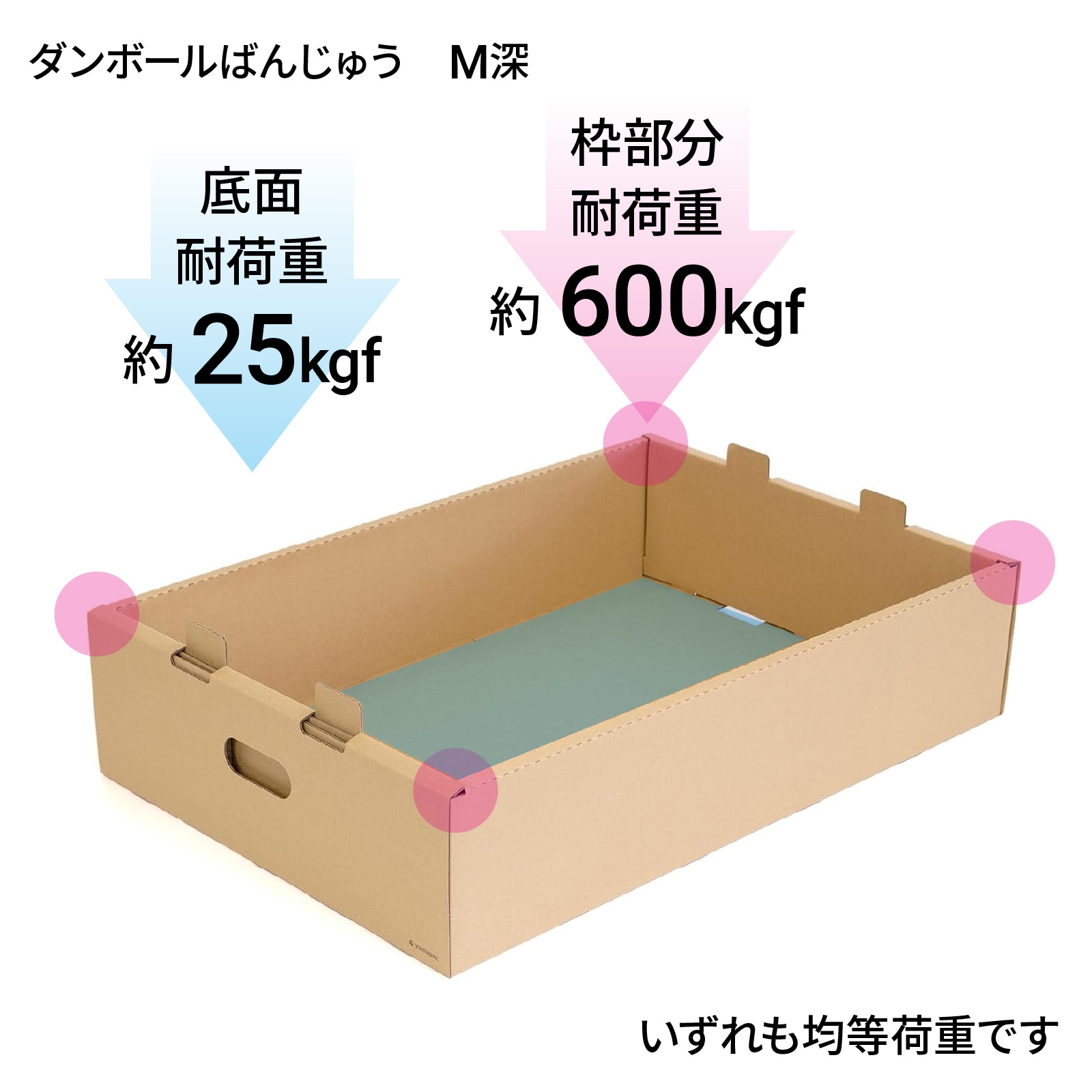 yamapac ダンボールばんじゅう（番重） M深 (本体 50個セット