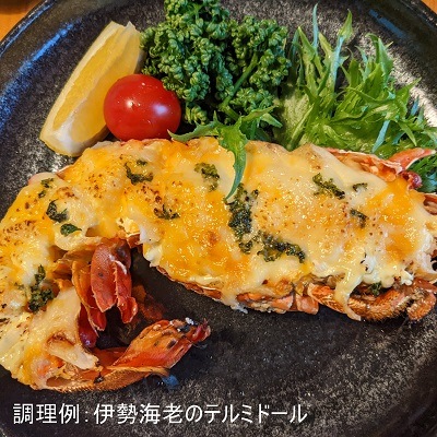冷凍伊勢海老 刺身用伊勢海老 凍眠冷凍 小さめサイズ 1尾 160～200g[凍眠冷凍