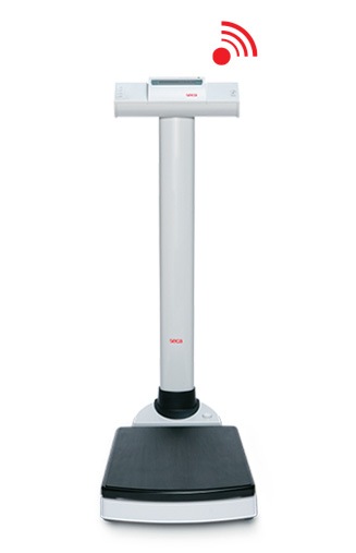 seca 704 デジタルコラムスケール 検定付 最大荷重300kg サイズ