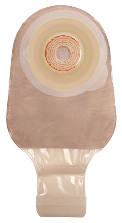 �����ƥ����� ���餫�̥������ S������ 422365 1Ȣ10�� ����Хƥå��������Բġ�