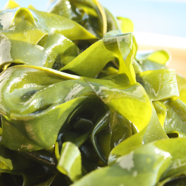 三陸産塩蔵わかめ150g×2袋【三陸の海藻牧場】【復興支援】