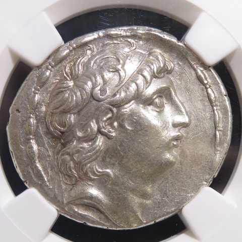 古代　セレウコス朝 アンティオコス4世 硬貨 NGC認証 古代ギリシャセレコウス朝アンティオコス4世BC175-164