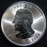 ڳ ʥ 㡼륺3 ᥤץ꡼ 5ɥ 2024ǯ̤ѡ