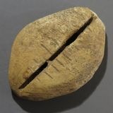 �ڸ�ʸ���� ���������������ʡ�